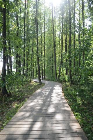 From Harbor to Hills:  Connecting Fairfield by Foot