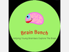 The Brain Bunch organization