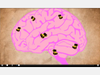 The Brain Bunch Virtual Classroom Lesson