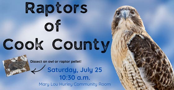 Raptors of Cook County