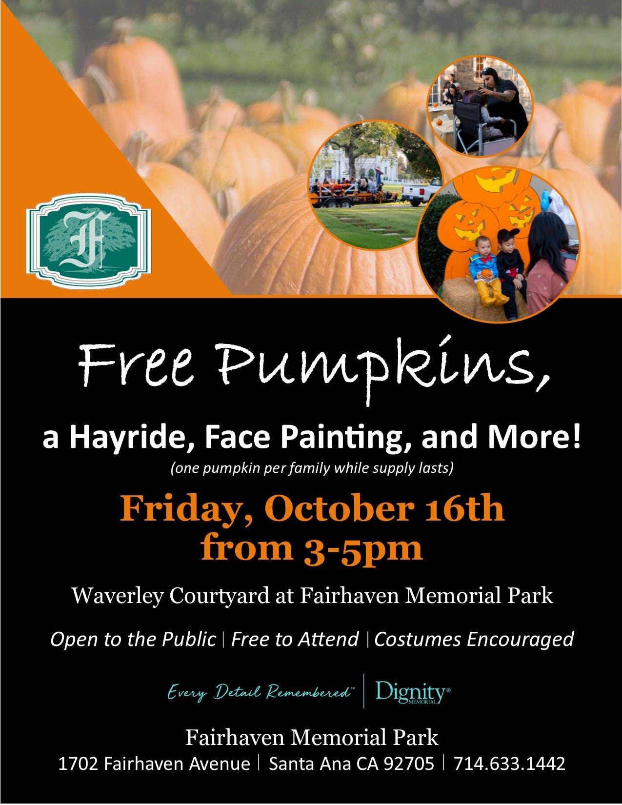Free Pumpkin Patch