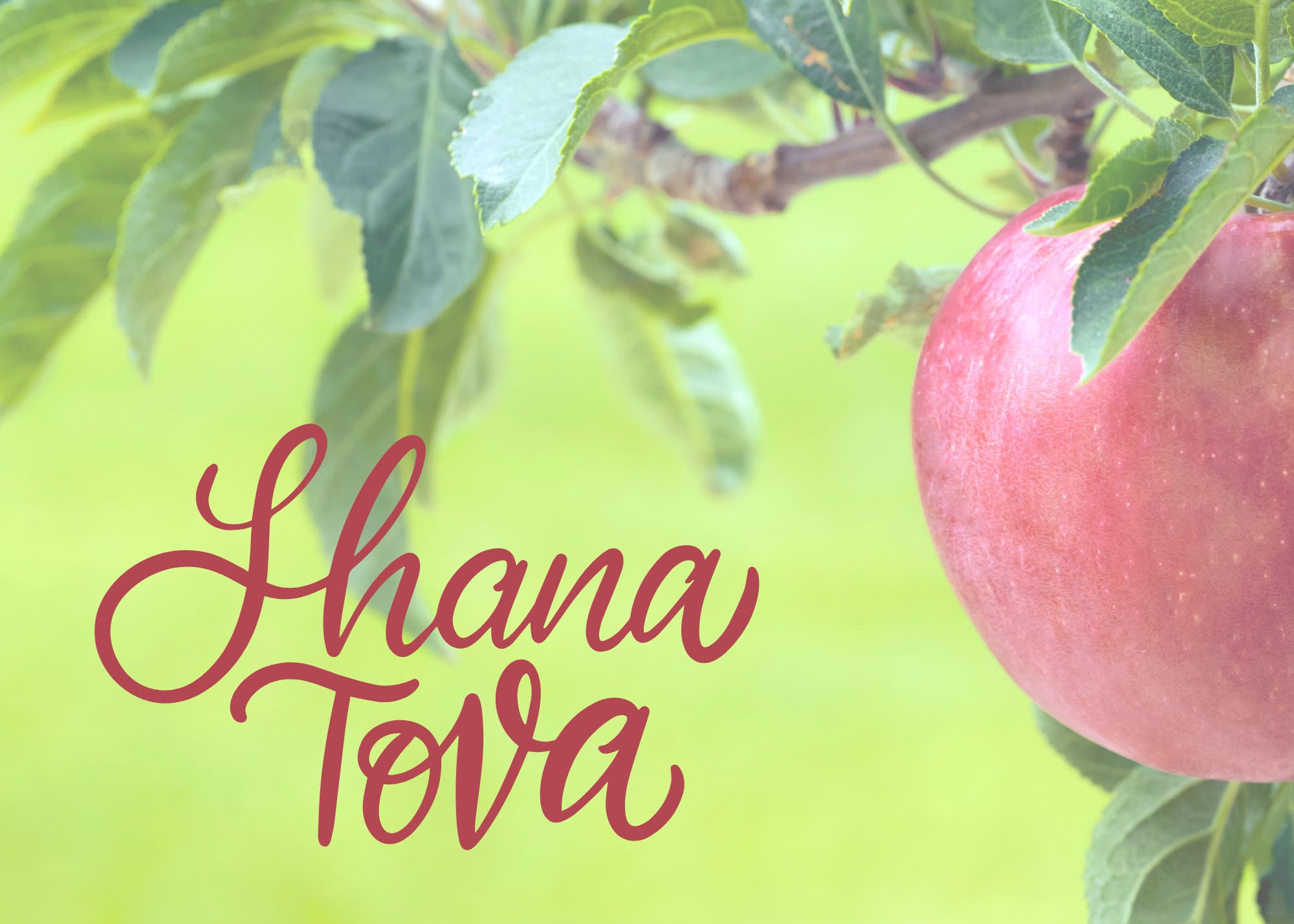 Share Rosh Hashanah with Kerem Shalom of Concord
