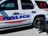 The department has announced the loss of K-9 Diablo, who assisted on numerous drug seizures and missing persons cases for nearly a decade. 