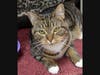 Lily Louise wants a new home!