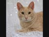 Theo wants a new home!