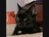 What's up! I'm Colin. Will you take me home?
