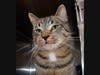 Jimmy wants a new home!