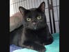 Oliver is looking for new owners.