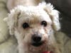 How's it going! My name is Reese. I'm looking for a loving family.