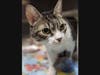 Fewcha Scarlett is looking for new owners.