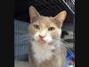 Jax is looking for new owners.