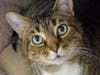 Lilah wants a new home!