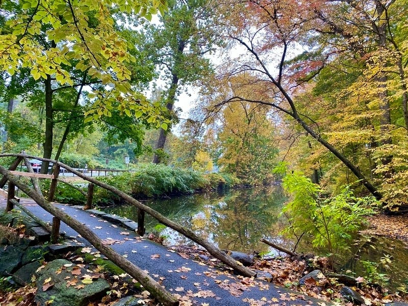 National Trails Day is on Saturday, June 5. Here are some celebration ideas from National Park Service Chesapeake Gateways and Chesapeake Conservancy.