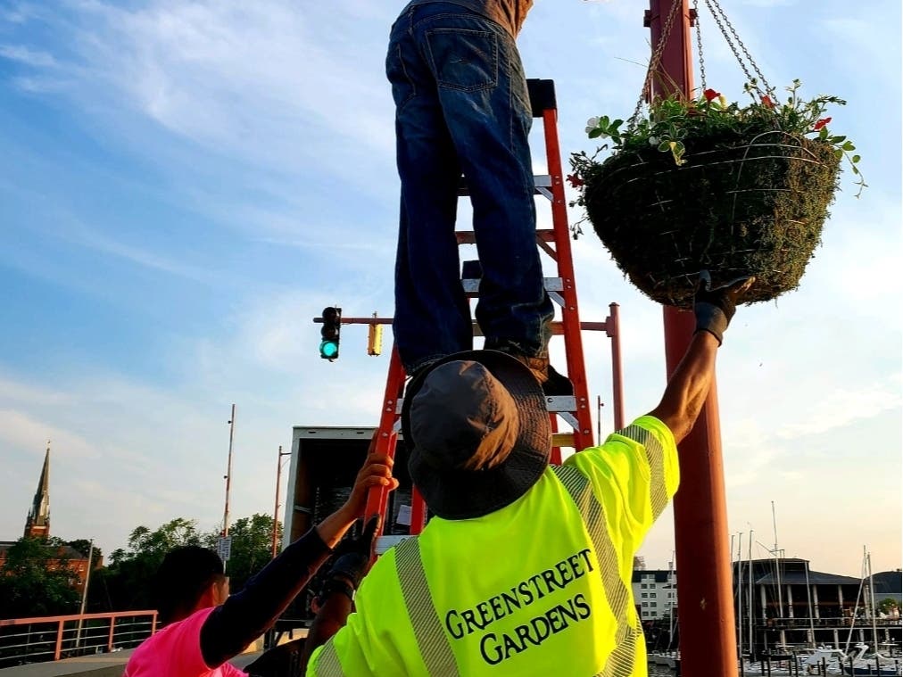 The Downtown Annapolis Partnership teamed with Greenstreet Gardens and Garden Girls Landscaping to hang flower baskets around the state capital.