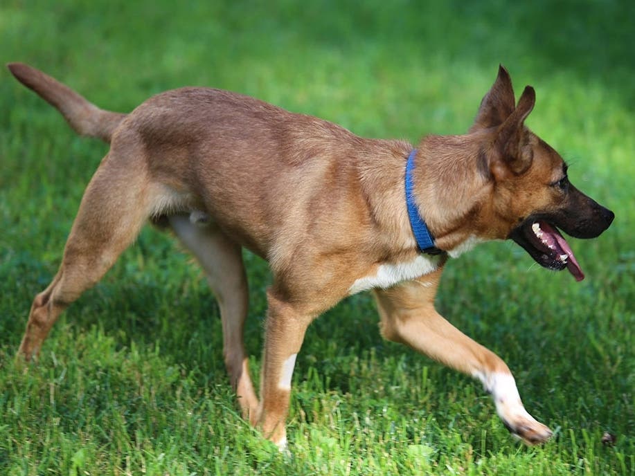 Taz needs some love.