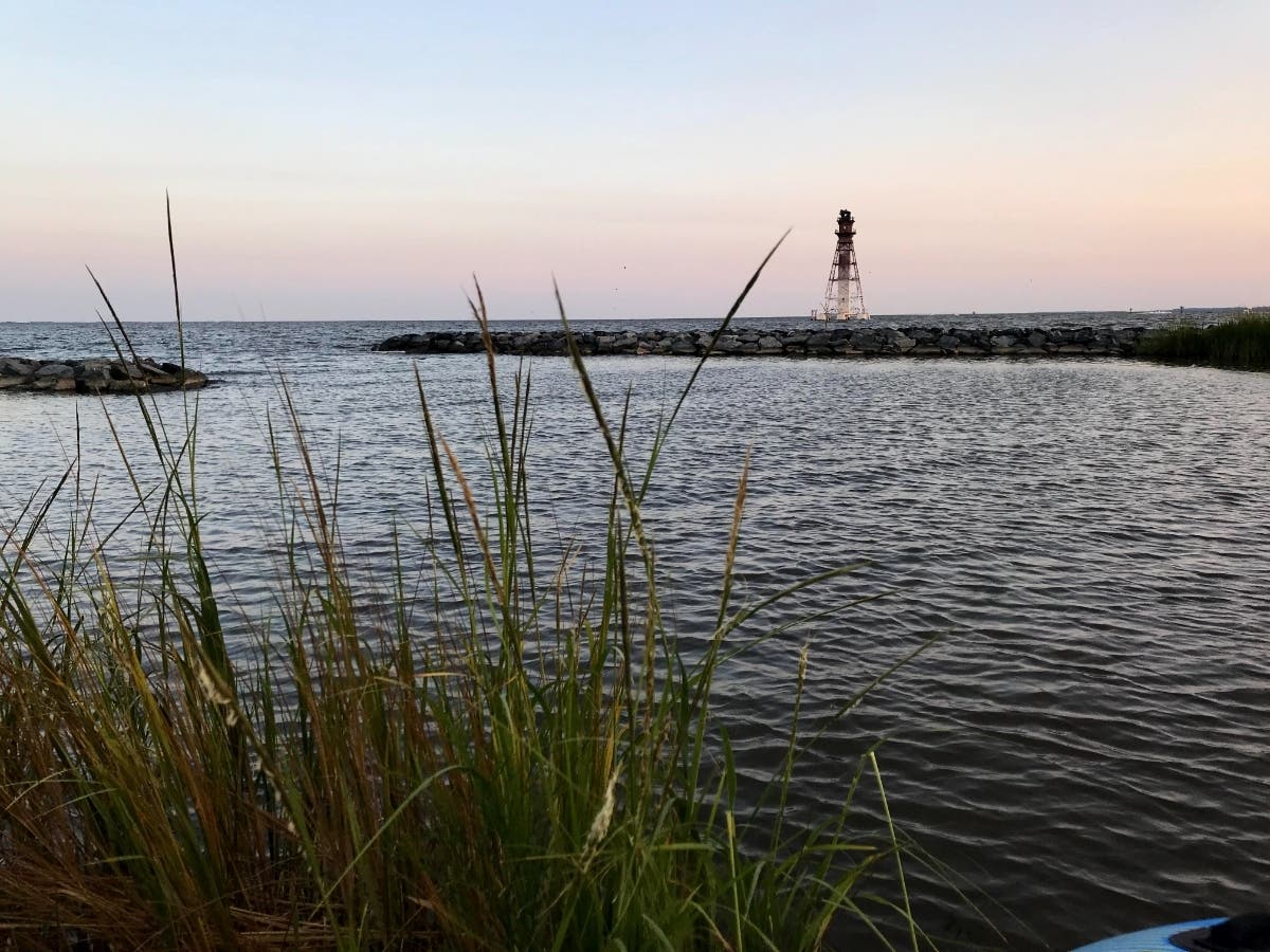 Through the Chesapeake and Atlantic Coastal Bays Trust Fund, Gov. Larry Hogan on Thursday announced $22 million in funding for Chesapeake Bay restoration projects. The money will pay for 25 initiatives at 123 sites.