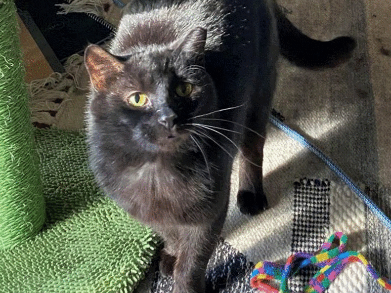 Tucker wants a new home!