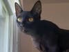 Jack wants a new home!