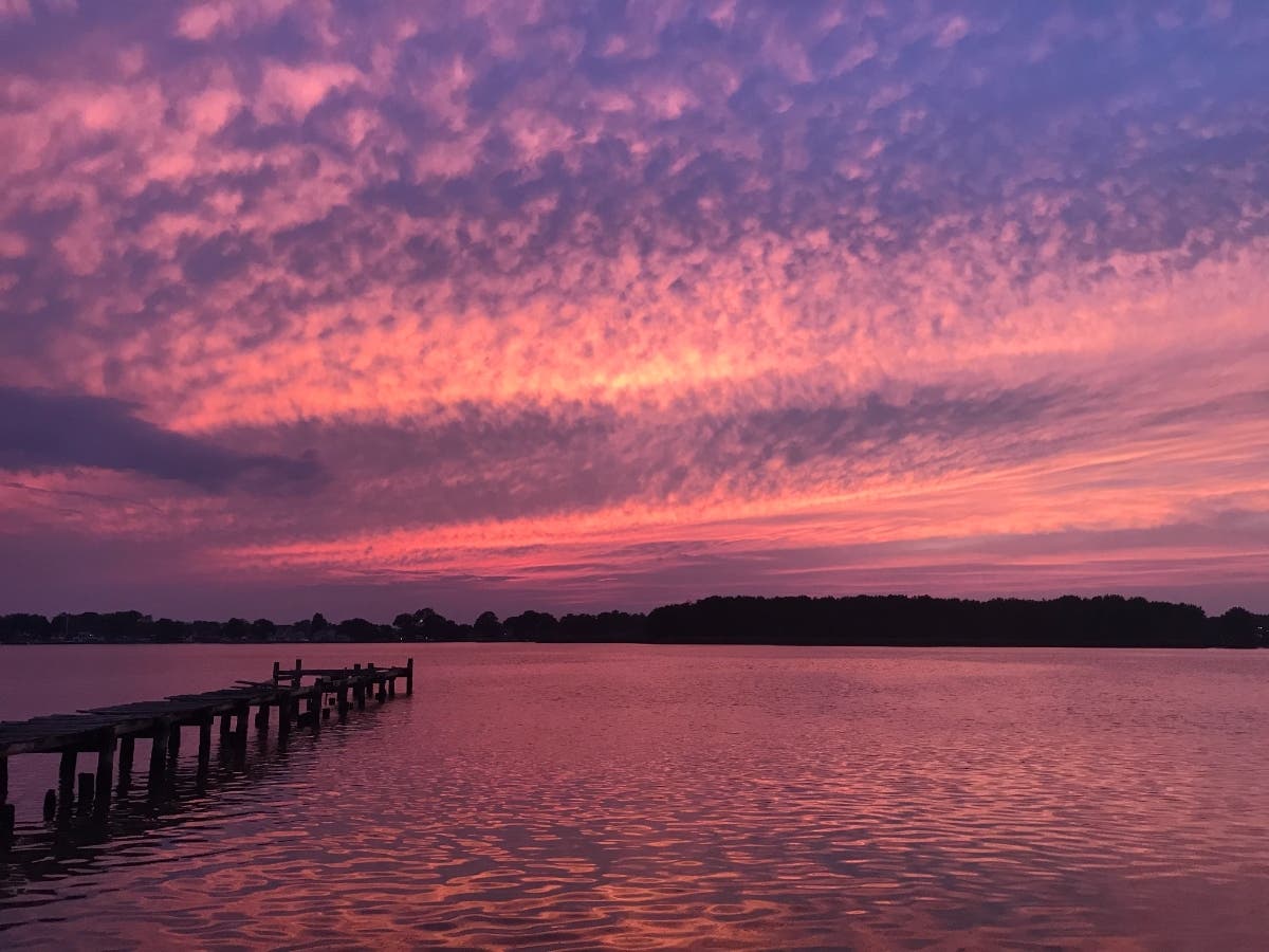 As part of Operation Build a Reef, the Severn River Association and the Oyster Recovery Partnership will plant 20 million natural filters in one of Annapolis' most iconic waterways. Pictured above is the junction of Frog Mortar Creek and the Middle River.