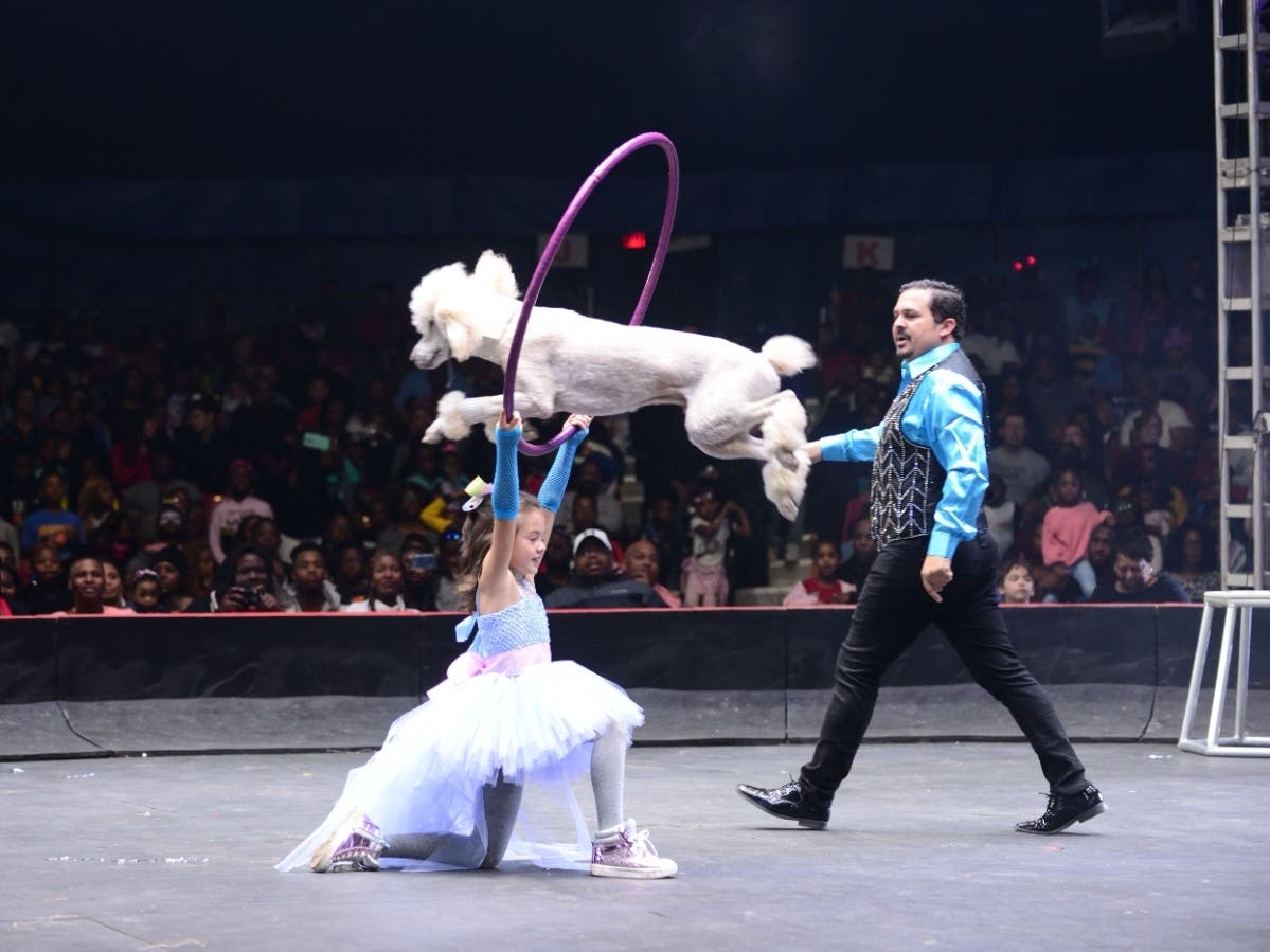UniverSoul Circus, pictured above, will host a puppy performance at National Harbor on dog day.