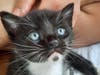 Johnny wants a new home!
