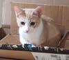 Kody wants a new home!