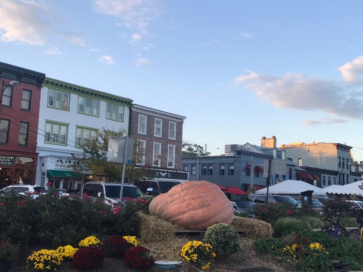 The Downtown Annapolis Partnership is leading a photo contest with four 1,000-pound pumpkins placed around the city. Participants who share their pictures with #GreatAnnapolisPumpkins could win gift cards. The pumpkin near City Dock is shown above.