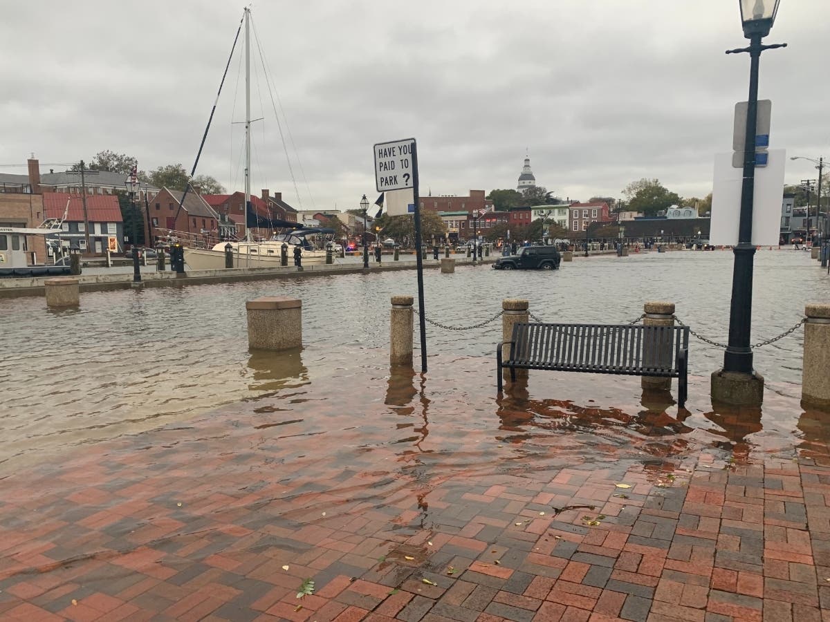 Arundel County Executive Steuart Pittman announced Saturday that businesses damaged in last week's flood can get up to $50,000 in aid through the VOLT Disaster Recovery Relief Program. The Anne Arundel Economic Development Corporation will run the effort.