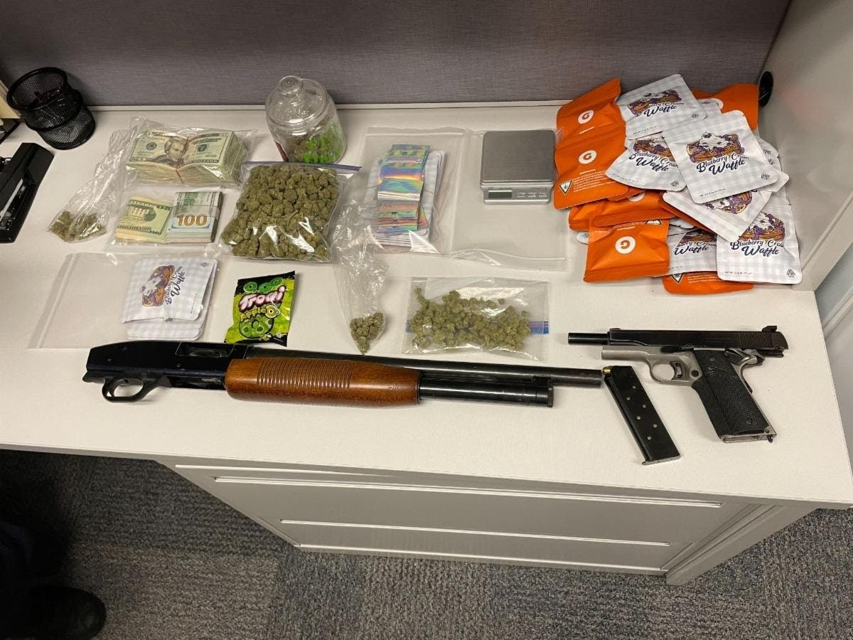The Anne Arundel County Police Department said it on Friday arrested Pasadena residents Rylee James Phillips, 20, and Carolyn Louise Jenkins, 19, on drug distribution and weapon charges.