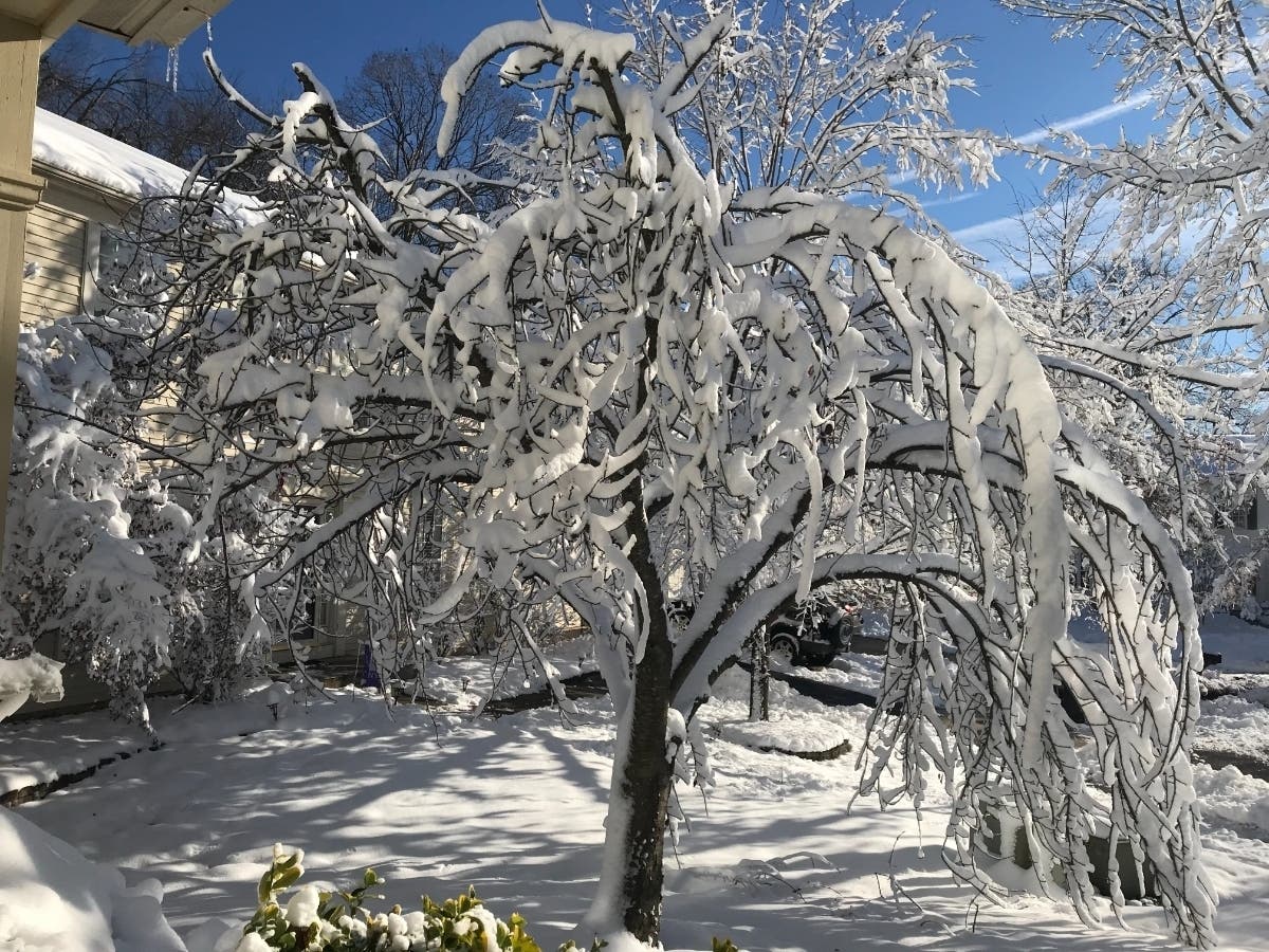 The National Weather Service issued a winter weather advisory for Anne Arundel County. The region may collect 3 to 4 inches of snow Thursday night into Friday morning. Monday's snowfall in Odenton is pictured above.