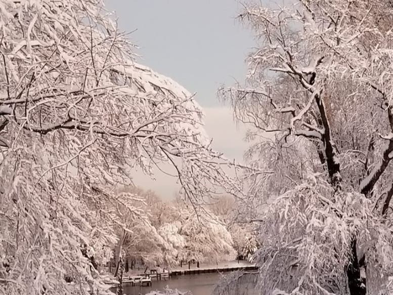 How much snow fell in Anne Arundel County? The National Weather Service said the area saw 1 to 4 inches. The accumulation in Shoreham Beach is shown above.