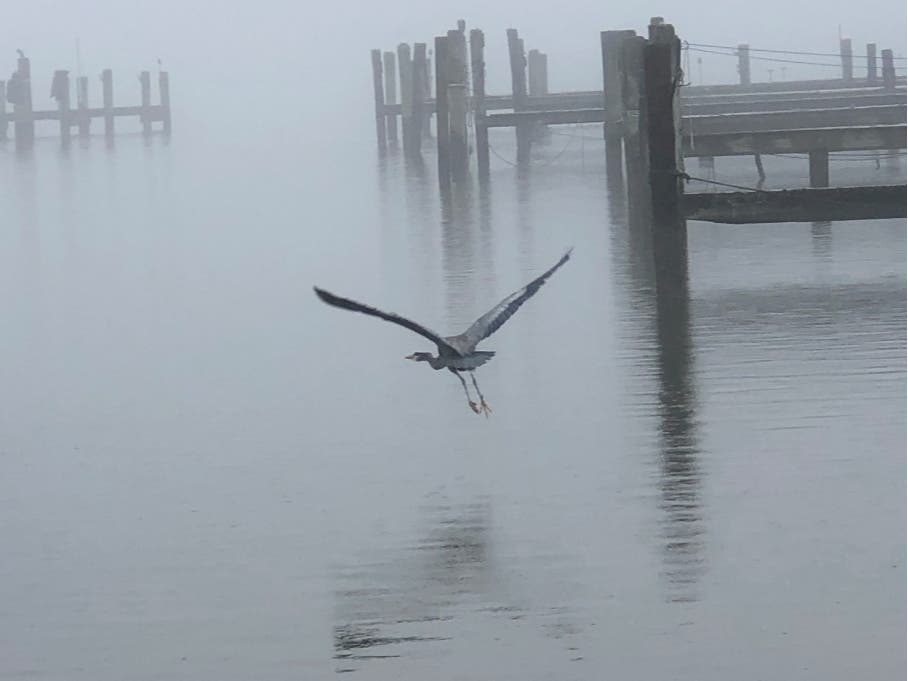 Email your best pictures to maryland@patch.com by Thursday, Feb. 17 for a chance to be featured in our photo of the week round-up. A majestic winter scene at Bush River Yacht Club in Abingdon is shown above.