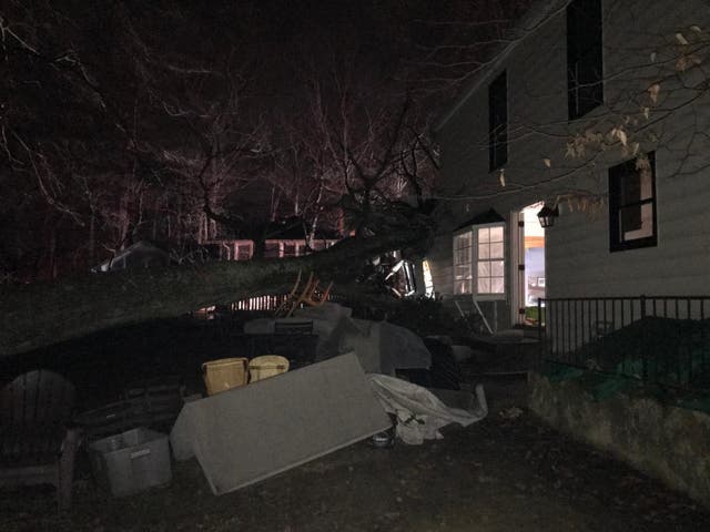 Woman Dead After Tree Falls, Damages Home In Crofton: Officials ...