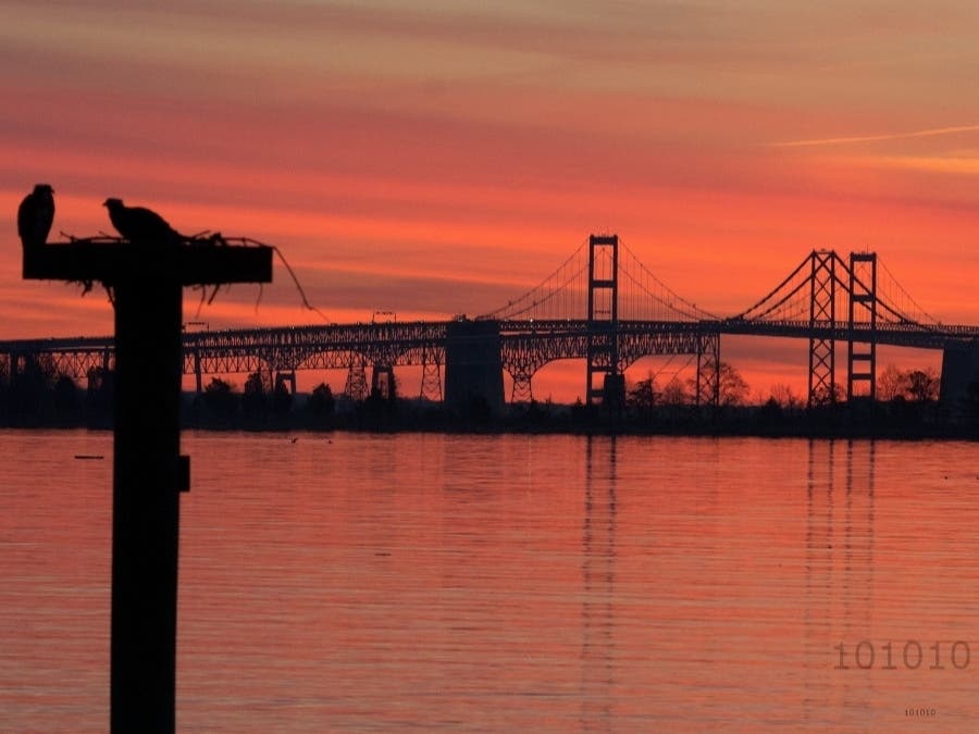 This picture of the Chesapeake Bay Bridge in Annapolis was one of the top Maryland photos of the week. Email your best pictures to maryland@patch.com for a chance to be featured in our weekly photo round-up.