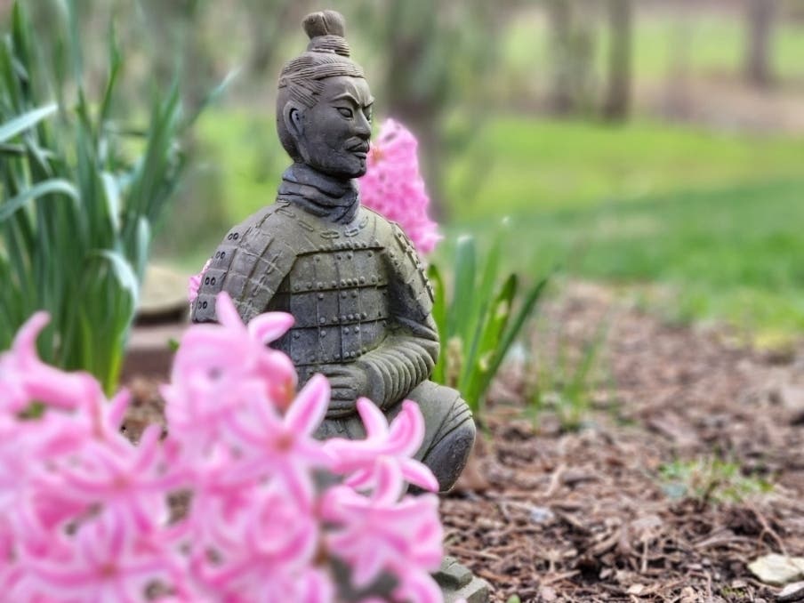 Email your best pictures to maryland@patch.com by Thursday, April 7 for a chance to be featured in our weekly photo gallery. One reader snapped this shot of a terra-cotta warrior statuette surrounded by hyacinths in her garden.