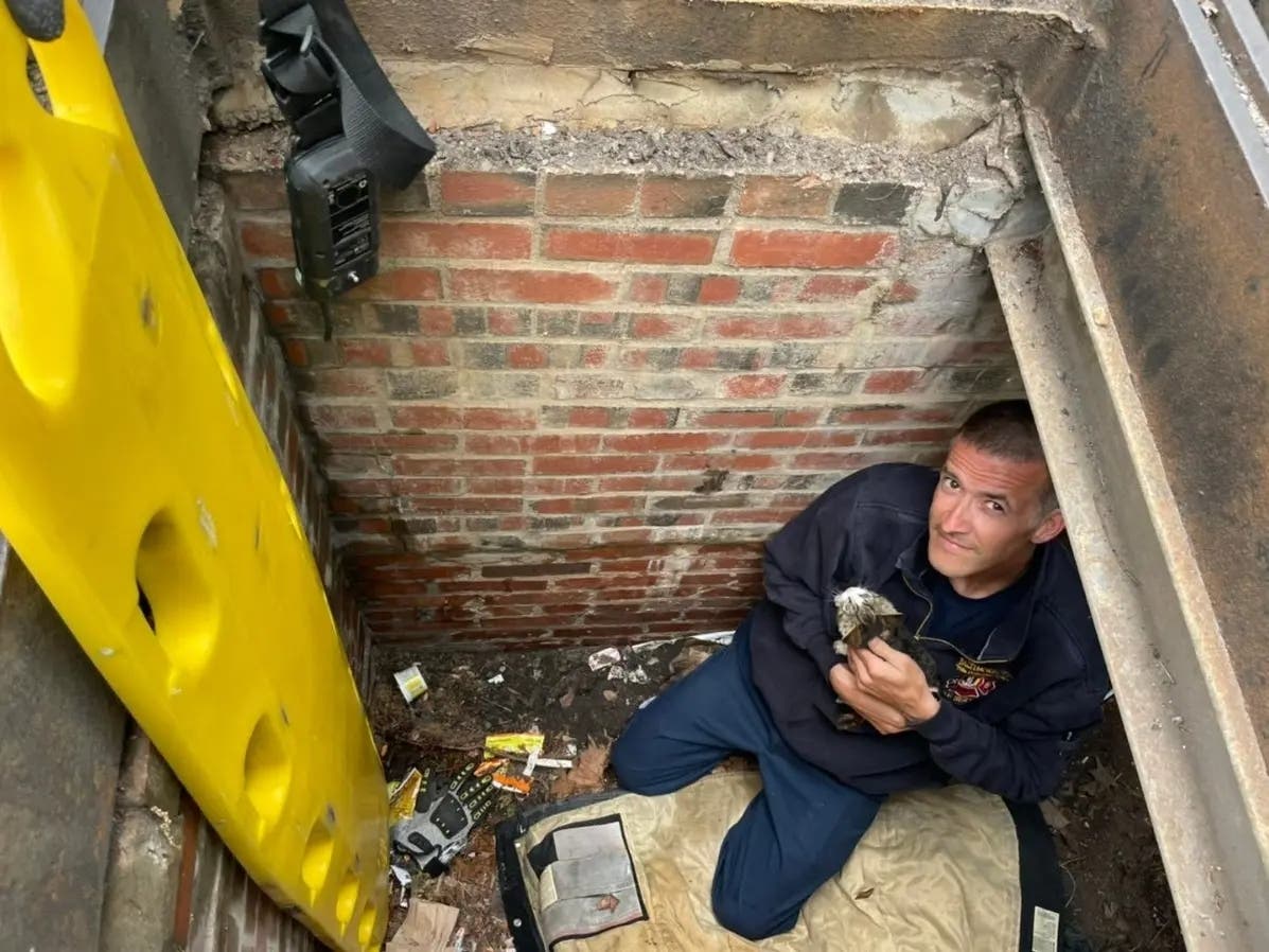 A Baltimore firefighter rescued and adopted a kitten that was stuck in a storm drain, which is pictured above. This was one of Maryland's happiest stories of the week.