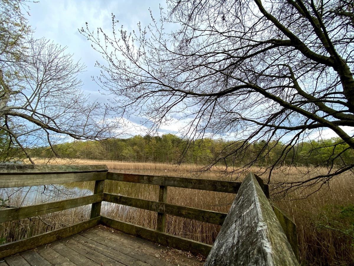 National Park Service Chesapeake Gateways and Chesapeake Conservancy suggested visiting a national park, not pictured above, for free on Aug. 4.
