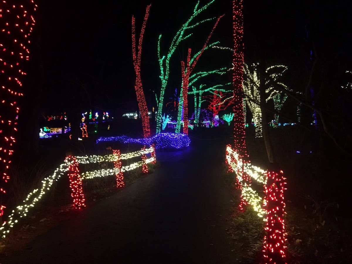 The National Park Service Chesapeake Gateways and Chesapeake Conservancy suggested visiting the holiday lights displays at the Baltimore and Washington, D.C. zoos. The stock photo above shows lights in a different location.