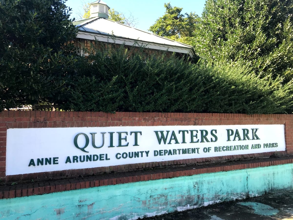 The National Park Service Chesapeake Gateways and Chesapeake Conservancy suggested celebrating the new year with a first-day hike at Quiet Waters Park, which is pictured above in Annapolis.