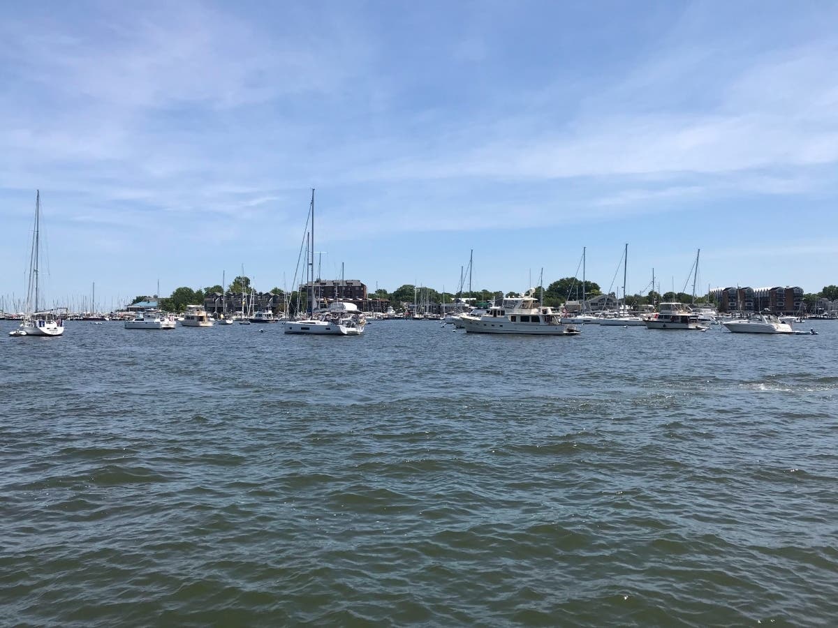 Party Boat Annapolis launched a BYOB pedal boat this month. The vessel will cruise around the city's harbor, which is pictured above on Independence Day 2022.