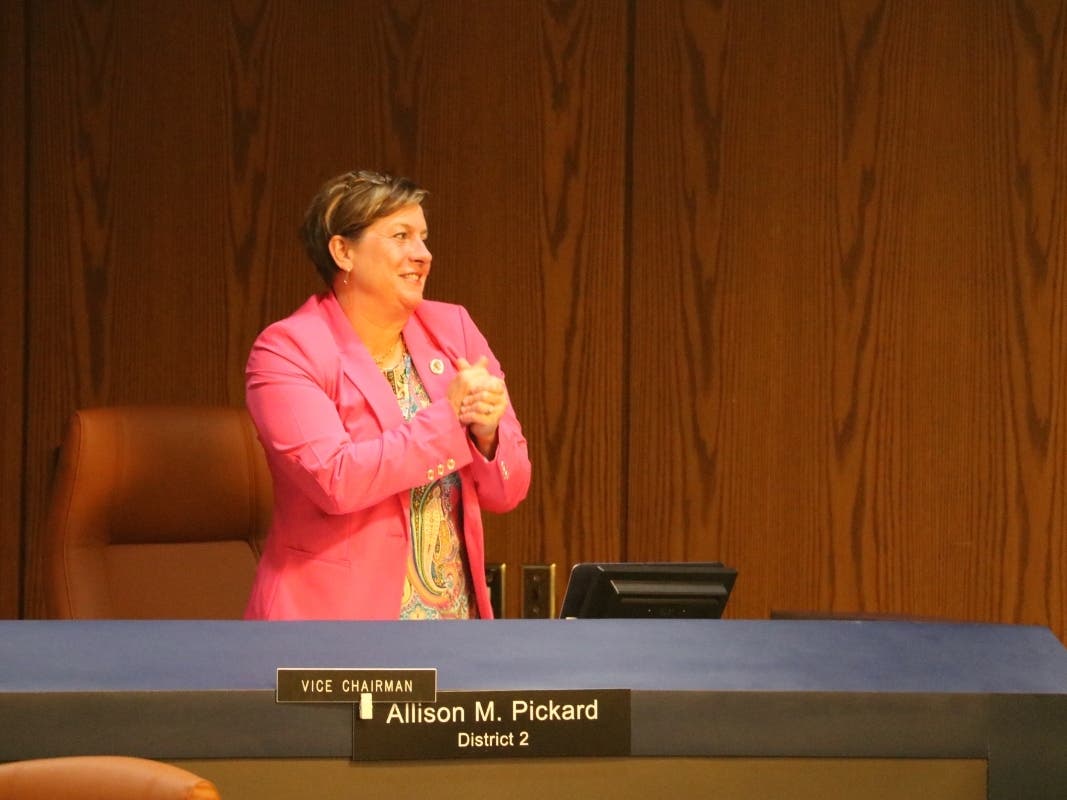 Allison Pickard To Run For Anne Arundel County Executive In 2026 | Anne ...