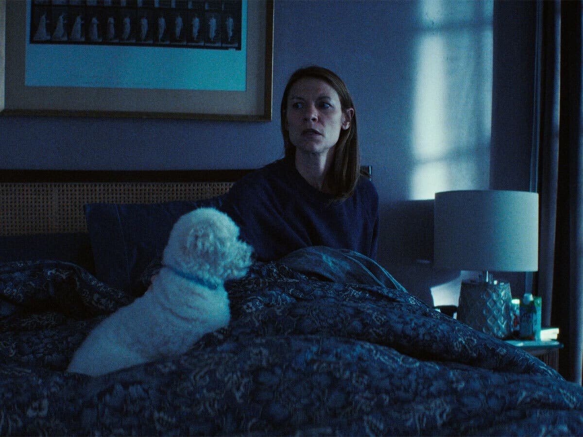 Severn Dog Featured In Netflix's 'The Beast In Me' Miniseries | Odenton
