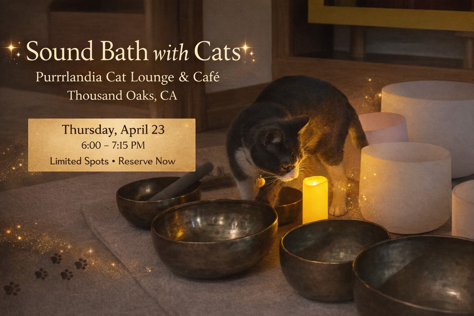 Sound Bath with Cats