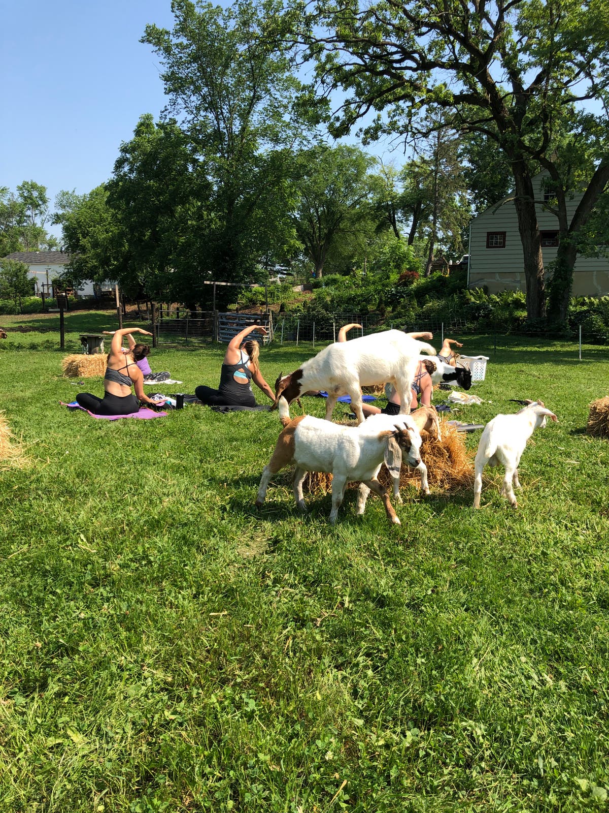 Deer Creek Farm