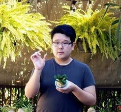 Deep Cut Orchid Society Monthly Meeting