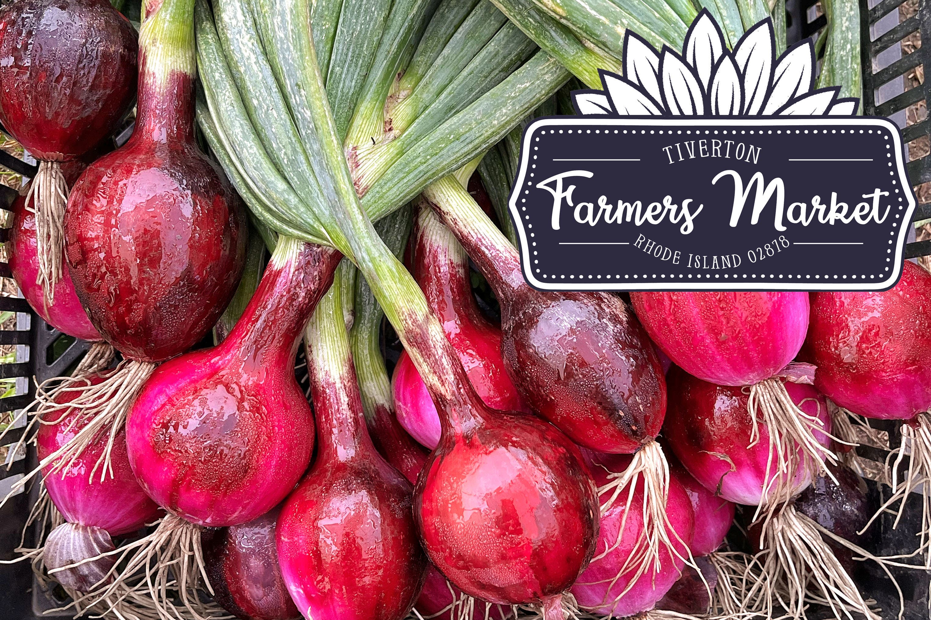 Tiverton Farmers Market ~ Sunday June 14th - OUTSIDE
