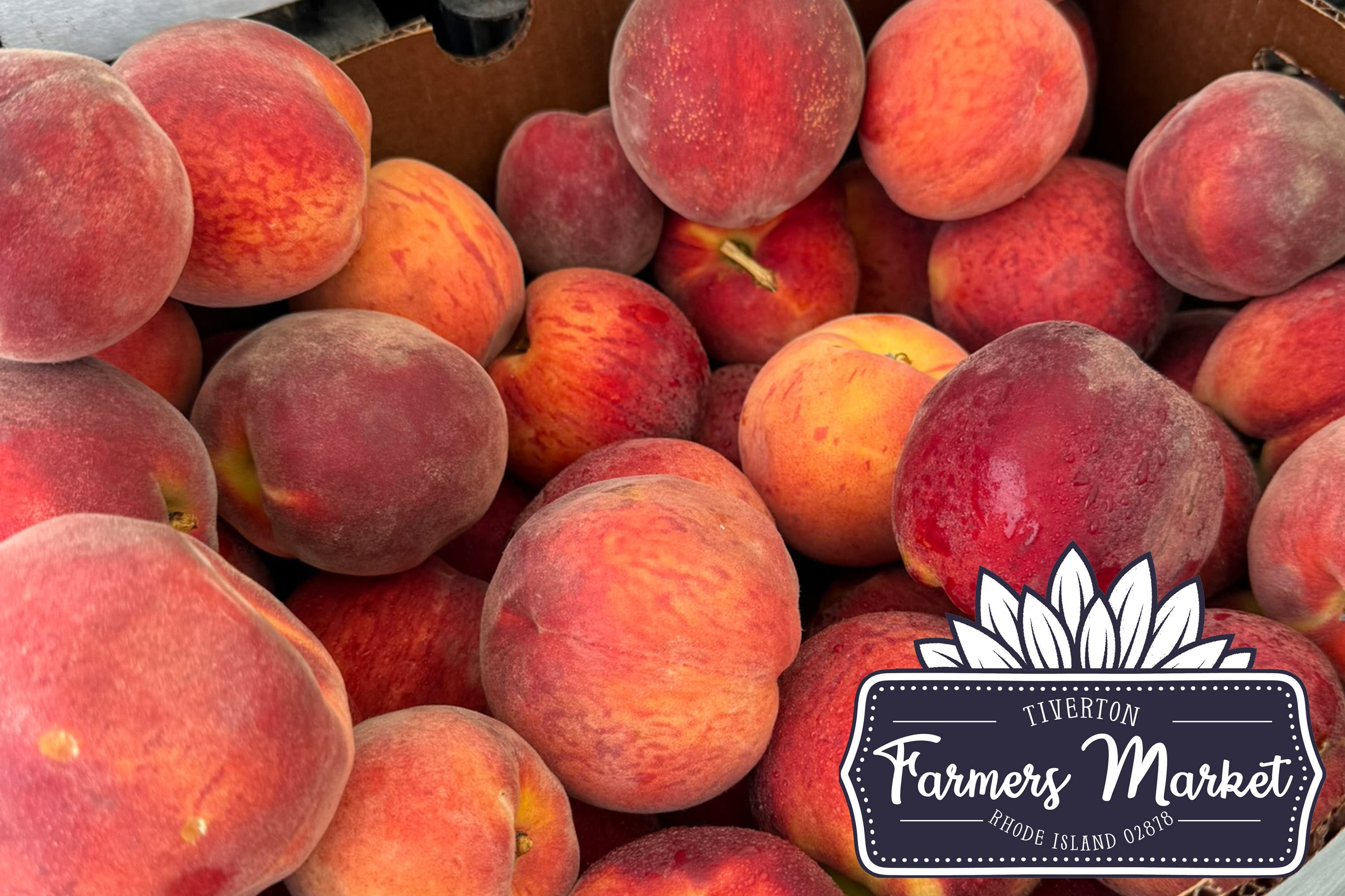 Tiverton Farmers Market ~ Sunday, August 2nd