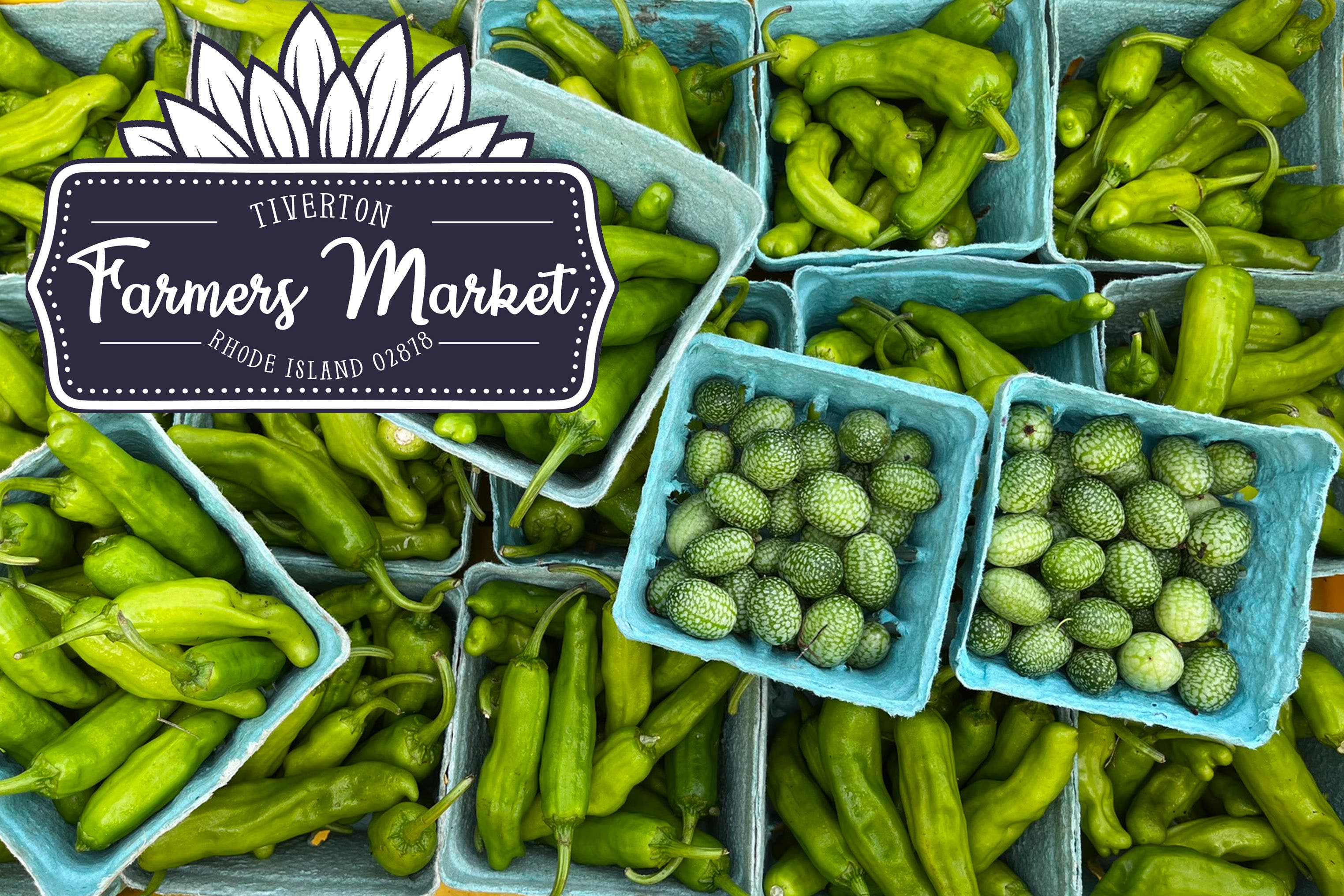 Tiverton Farmers Market ~ Sunday, August 23rd