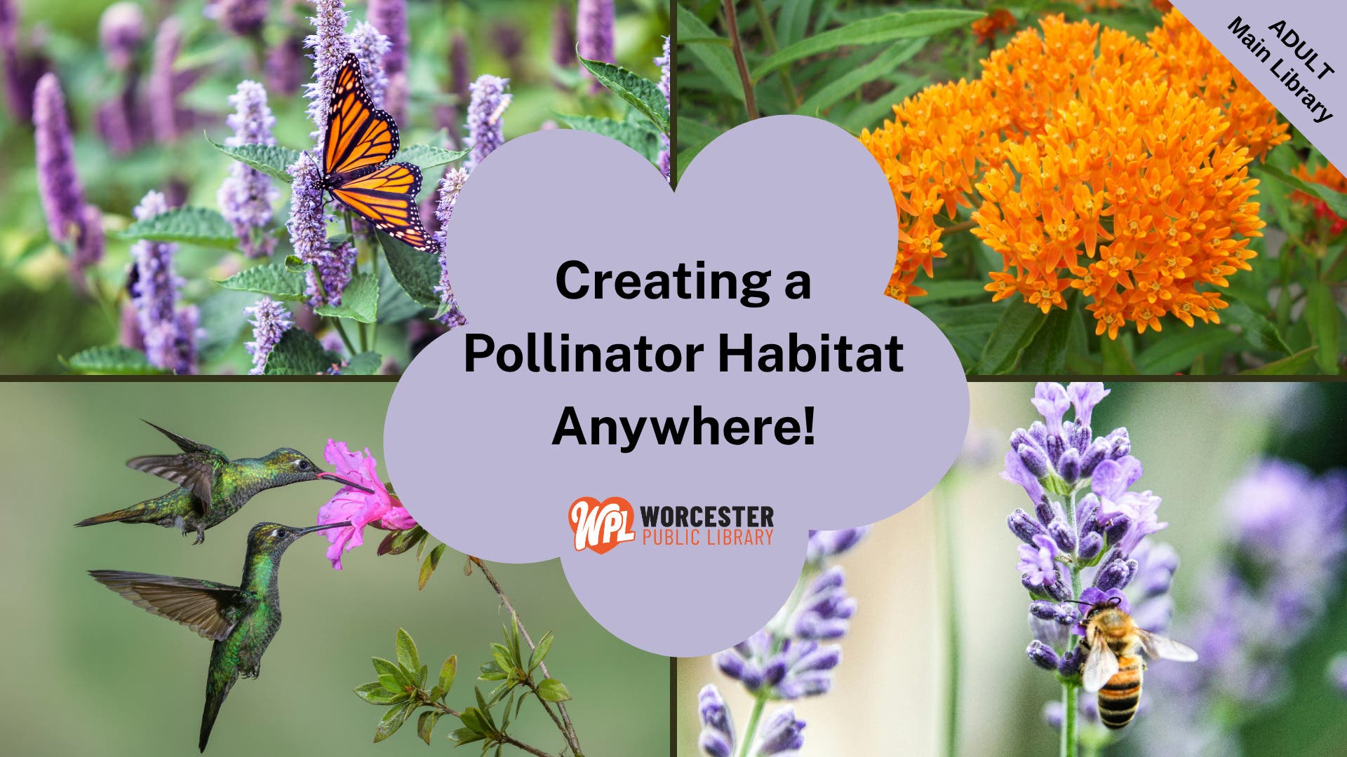 Creating a Pollinator Habitat Anywhere!