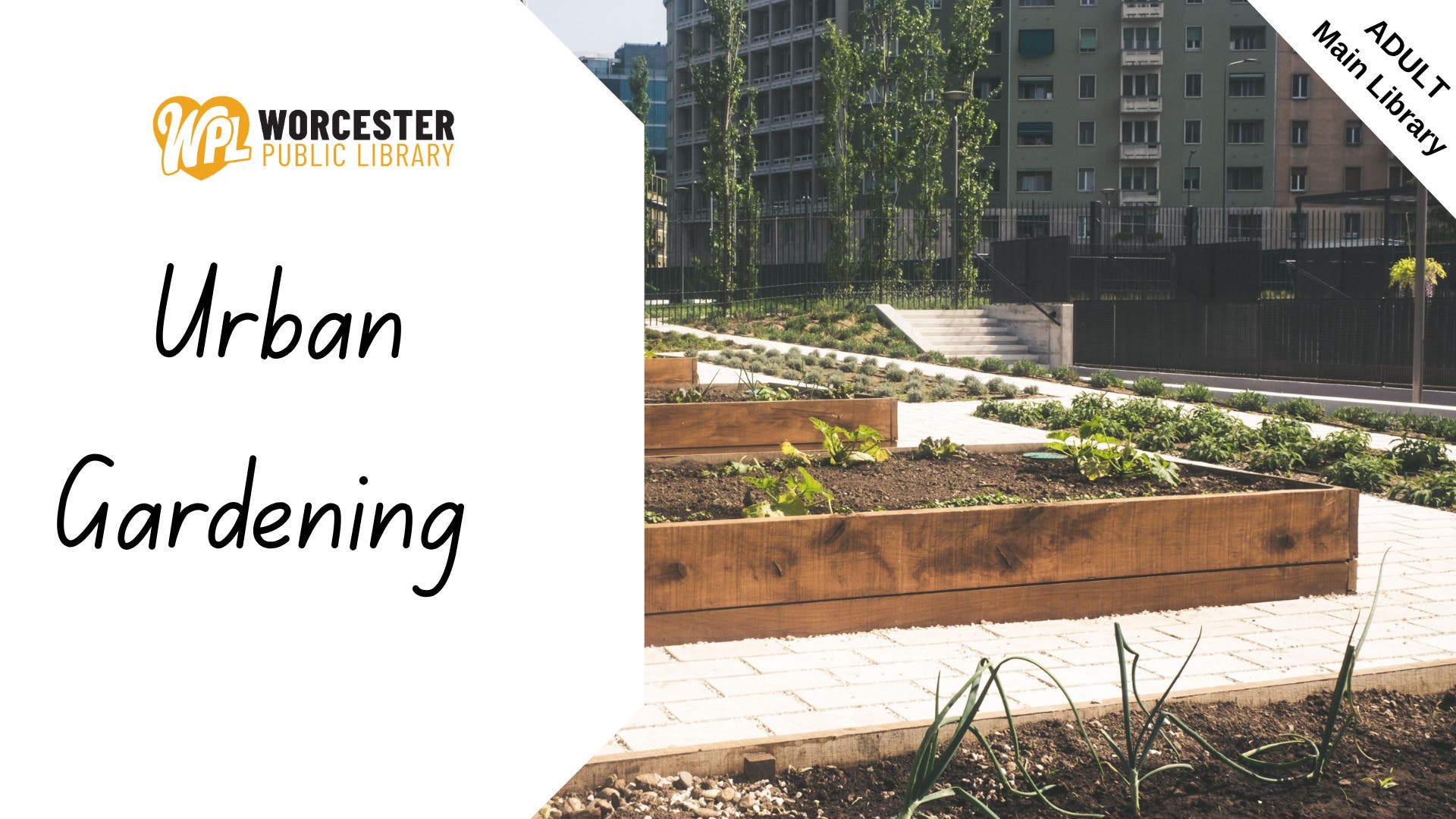 Urban Gardening